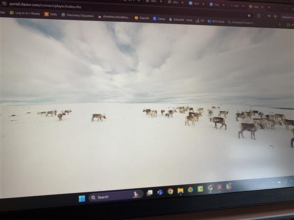 VR Headset from Teacher Laptop
